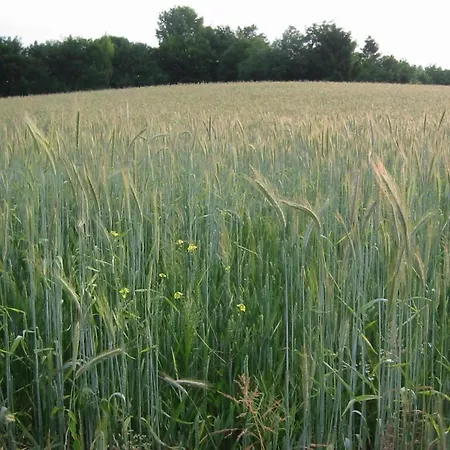 In Semesterbostad Bemelen