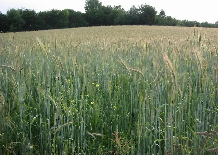 In Prázdninový dům Bemelen