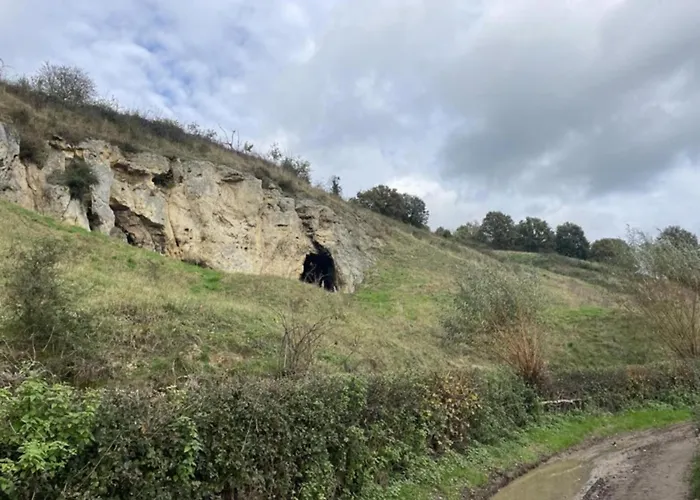 Дом отдыха In